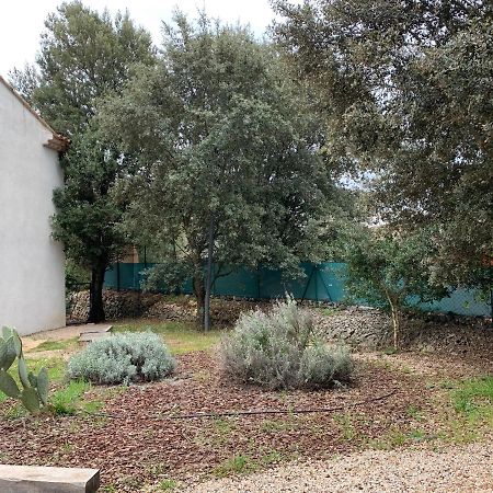 Magnifique Villa Classee 4* Meuble De Tourisme Flassans-sur-Issole Exterior foto